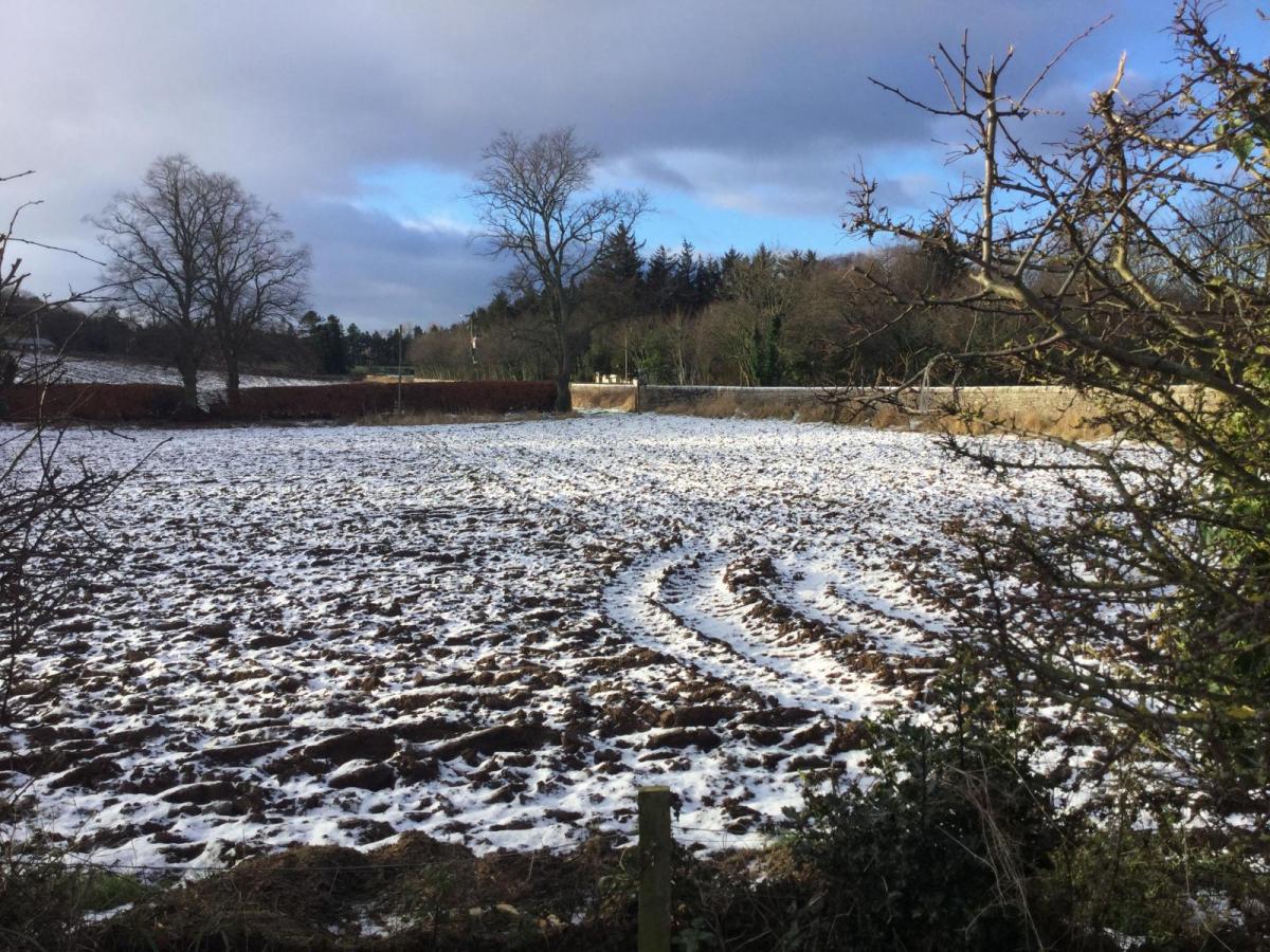 Snow showers for parts of Southern England Monday as cold easterly winds dig in