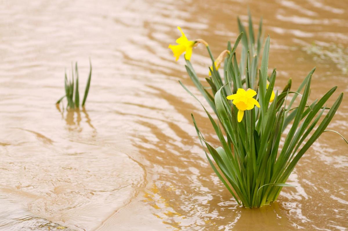 Warm sunshine as change to Atlantic wind and rain sees melting snow and flood risk