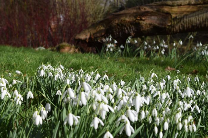 A hint of Spring this weekend as high pressure heads our way