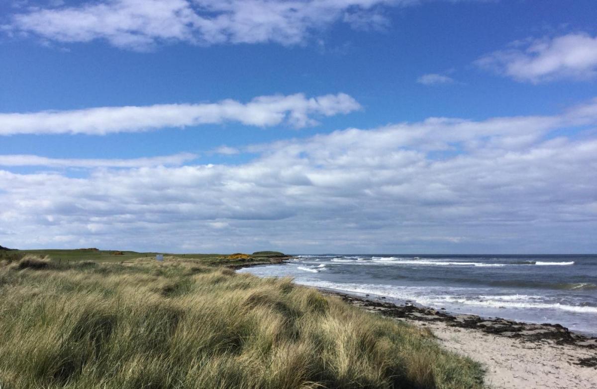 Brief blip in the southwest before fine and settled conditions resume 