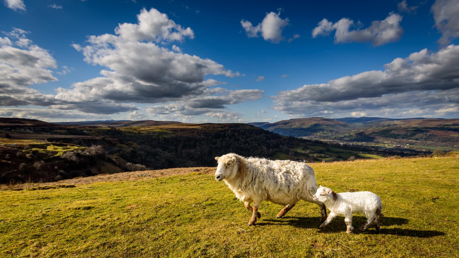 Weekend Weather: Pressure Rising