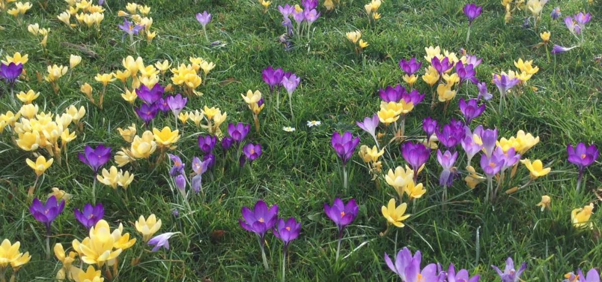 Gradual change to drier weather by the end of February but the frost returns