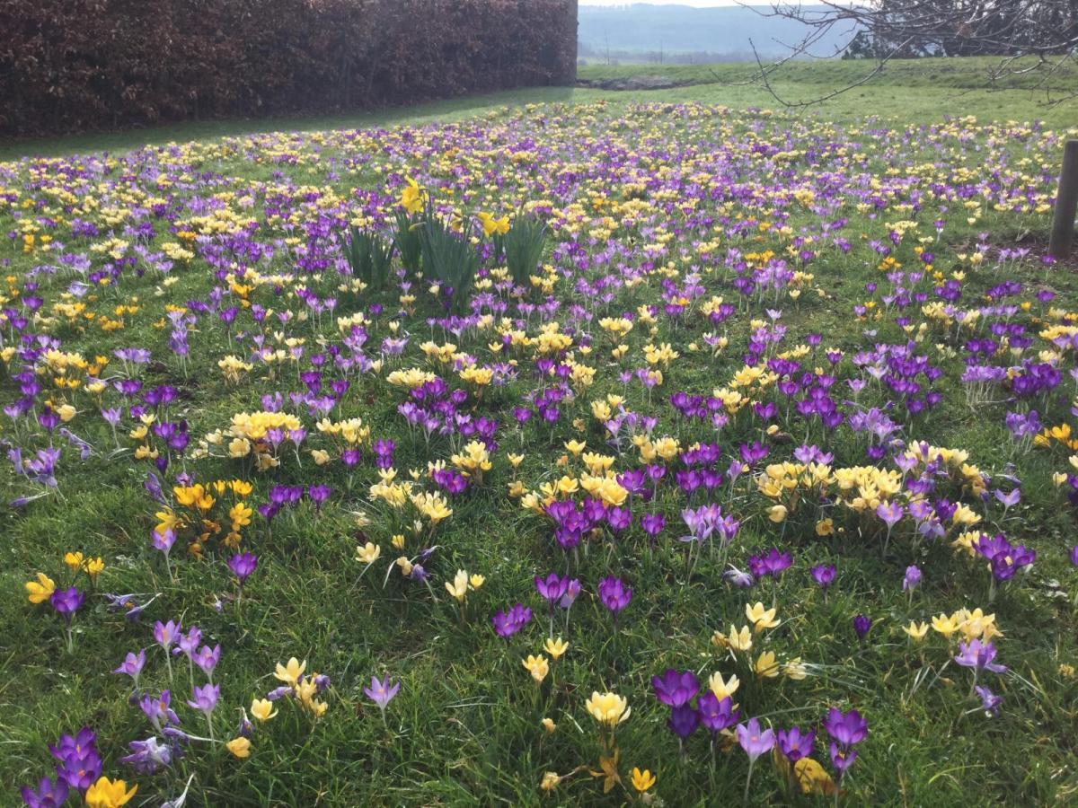 UK WEATHER: Monday 25th sees new UK February record. Exceptionally mild