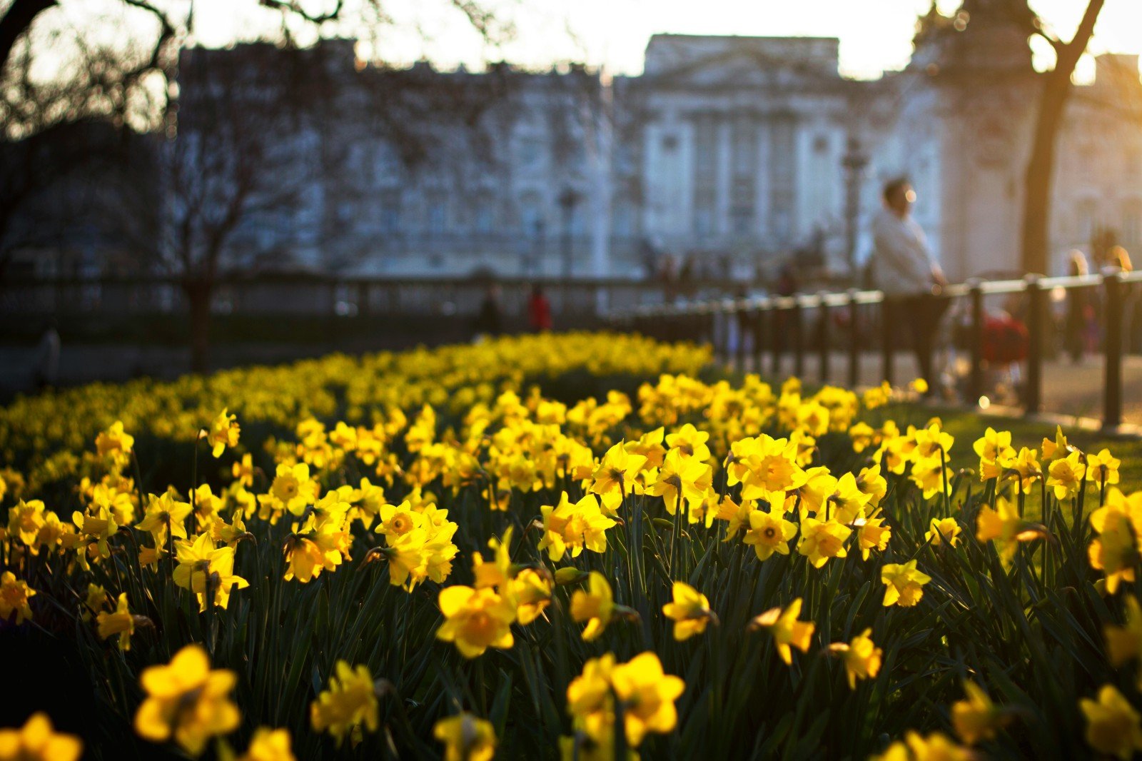 Weekend weather, what will the start of March bring?