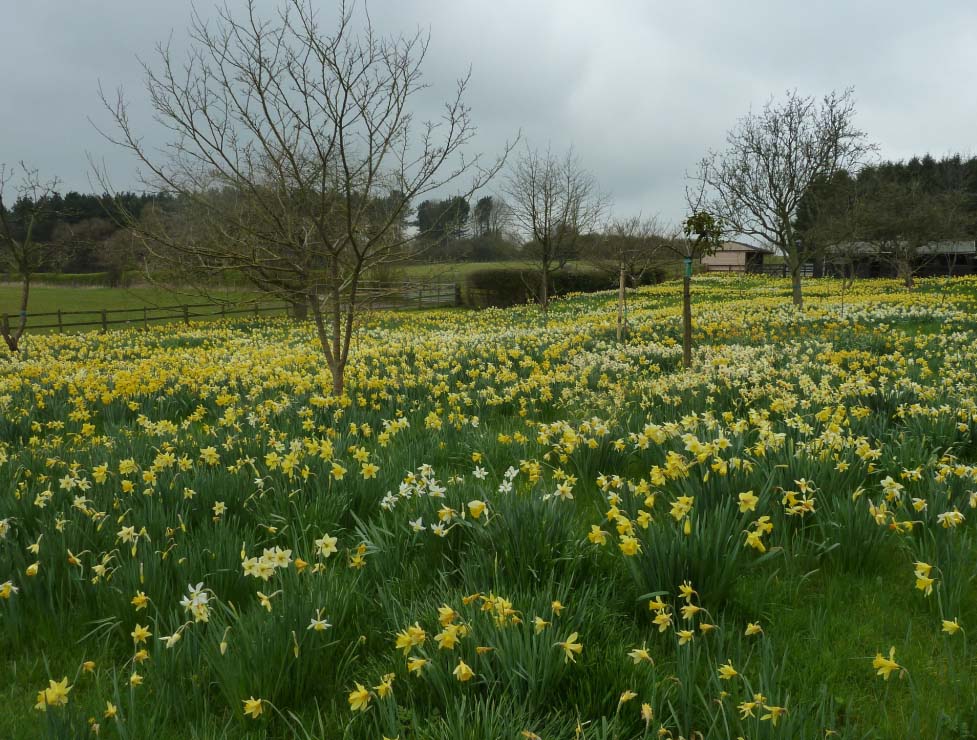 Week Ahead: Some Rain In The North, Turning Very Mild In The South ...