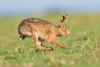 A few showers for now but increasingly dry, mild and sunny for a time next week