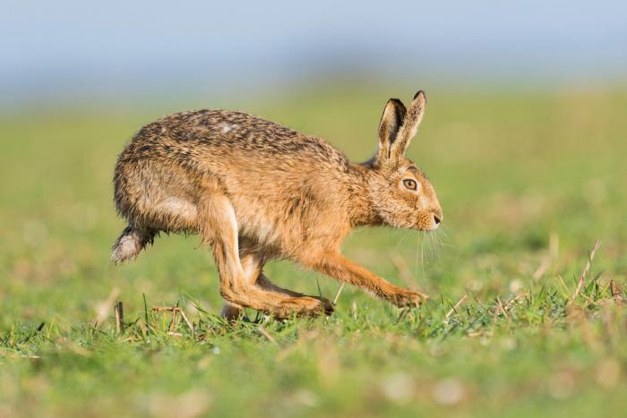A few showers for now but increasingly dry, mild and sunny for a time next week