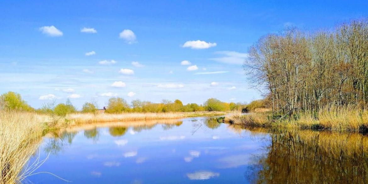 Largely dry and sunny week ahead, on the cool side in the easterly breeze