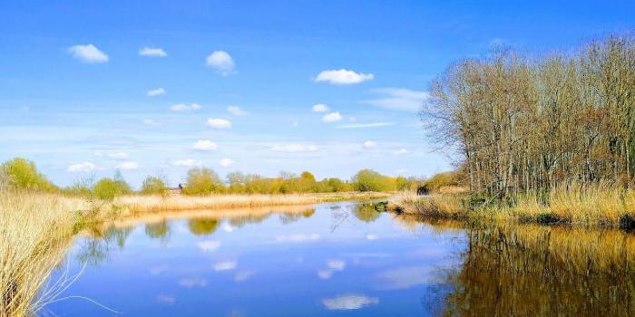 Largely dry and sunny week ahead, on the cool side in the easterly breeze