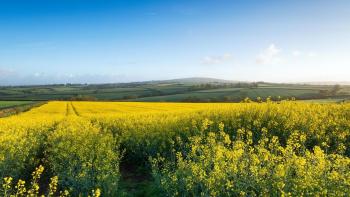 Showery end to the week, but turning drier and more settled this weekend