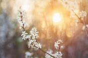 Another notable April? Forecast points to warm, sunny end, following recent trends