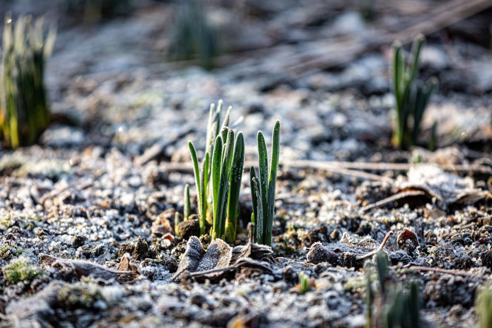 Colder for all, Arctic air is on its way