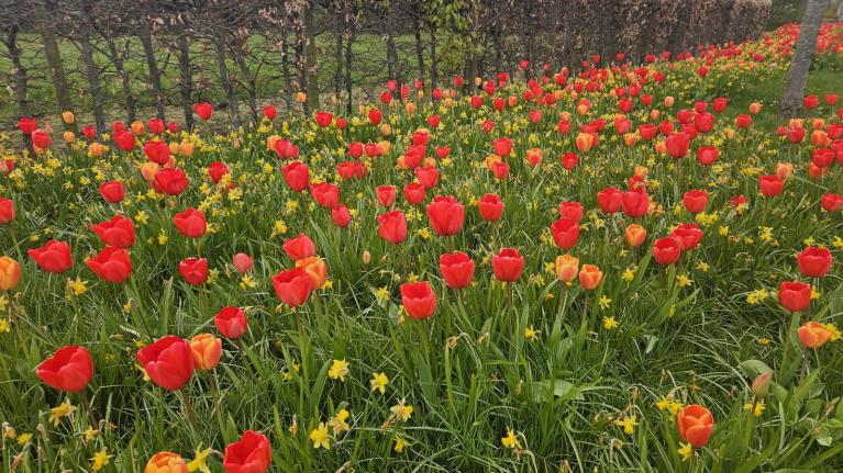 Southerly warmth will peak midweek as high pressure brings a more settled outlook