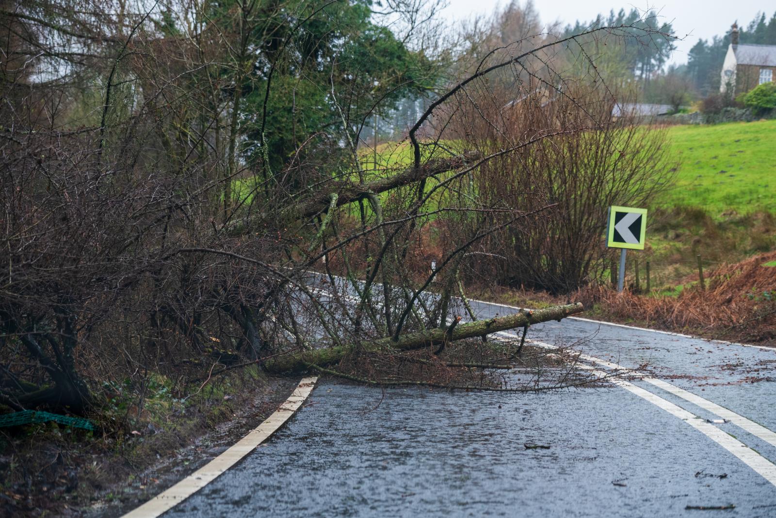 Storm Amy brings a wild start to the weekend