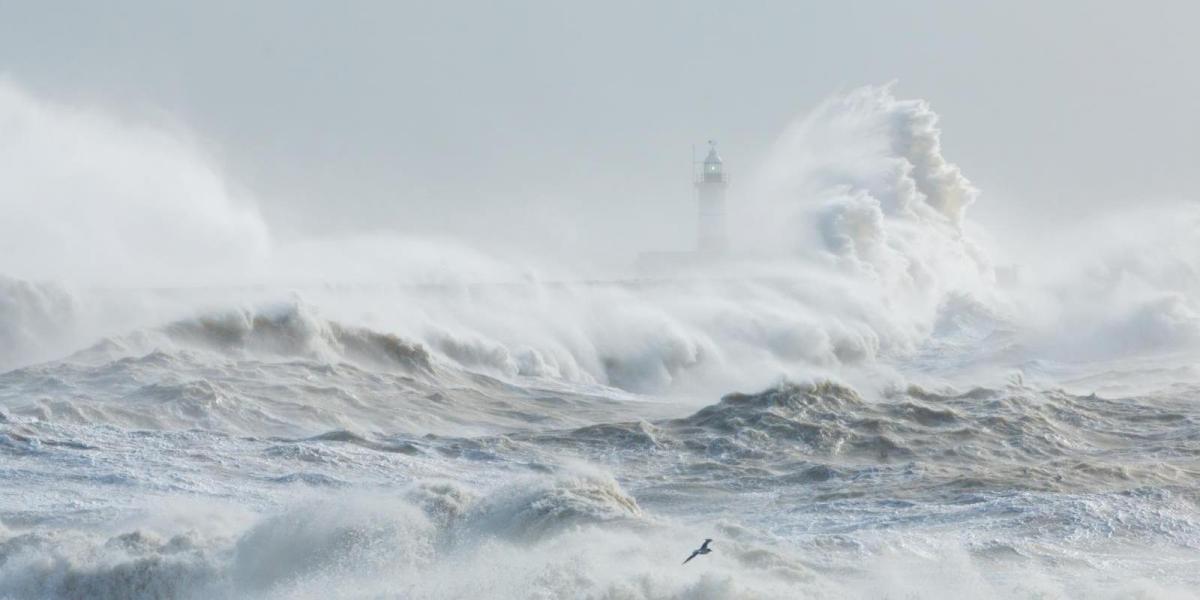 Will It Be Windy?