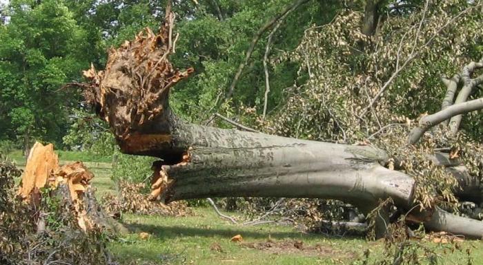 Summer Storm Floris brings disruption for Monday 4th August