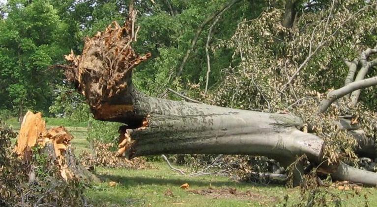 Summer Storm Floris brings disruption for Monday 4th August