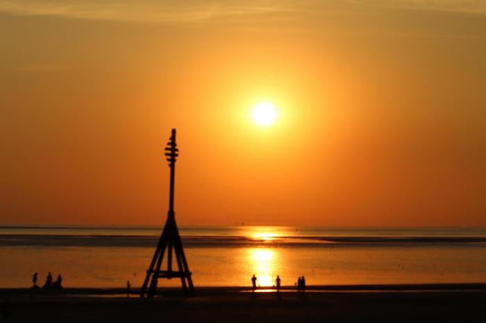 The growing impacts of three heatwaves and lack of rainfall as we approach mid-summer
