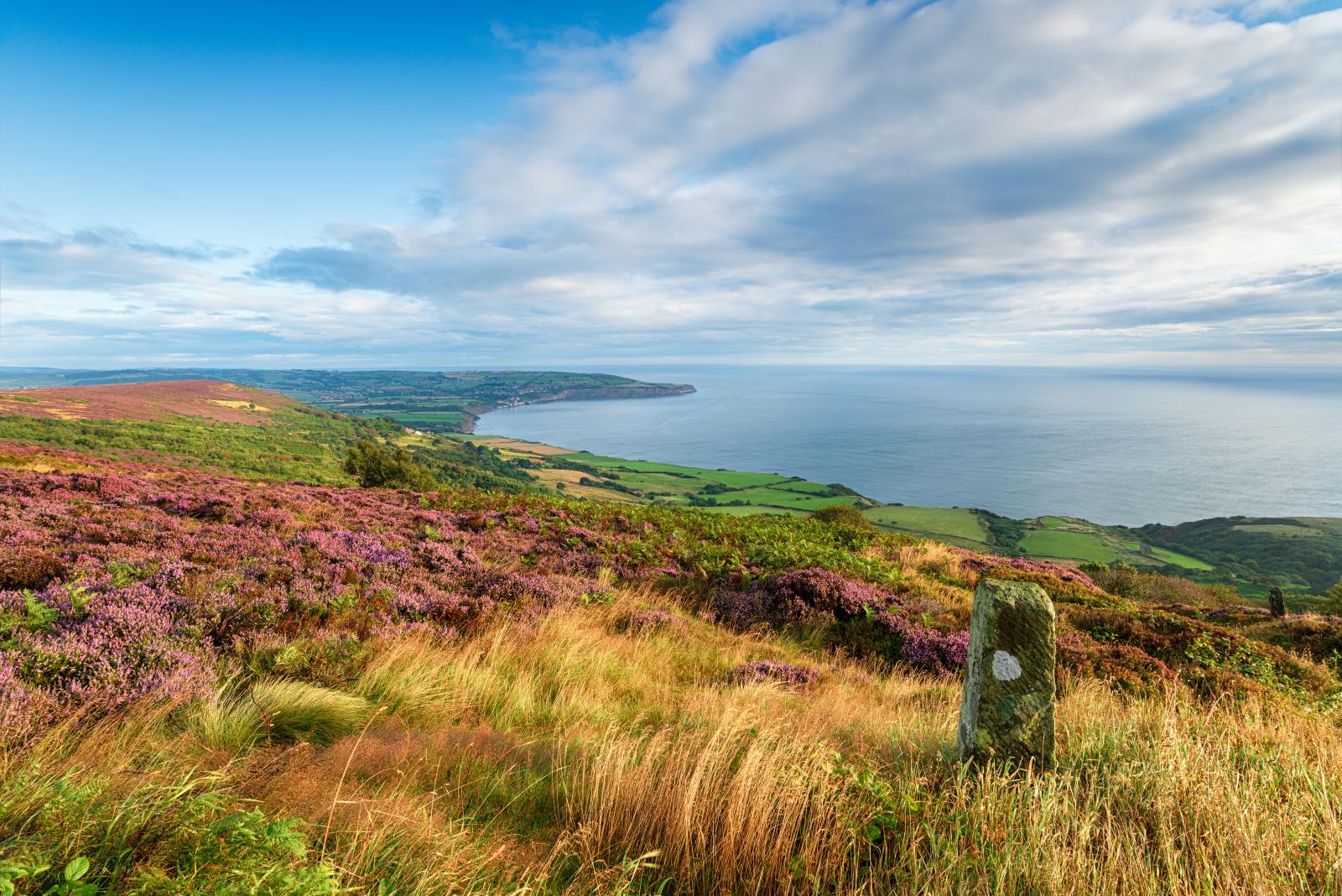 Much of the UK experiencing an official Heatwave this weekend