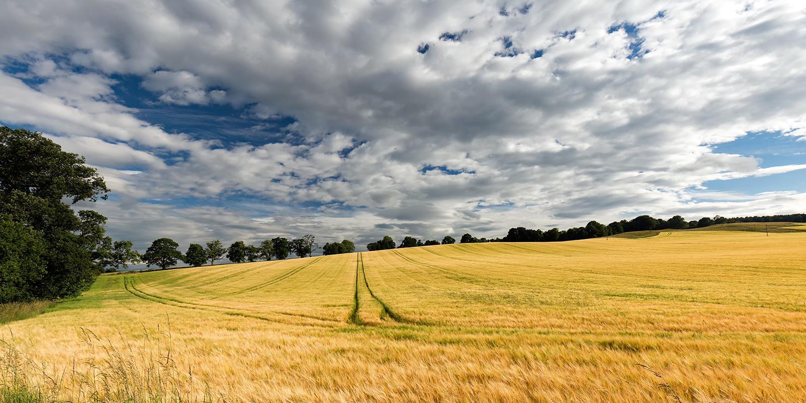 Lack of rain continues across much of England through first half of summer