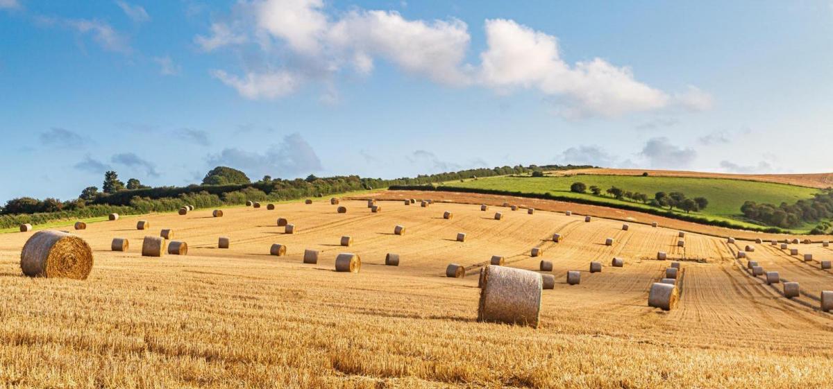 Dry spring so far a concern for farmers - but what may be causing it? 