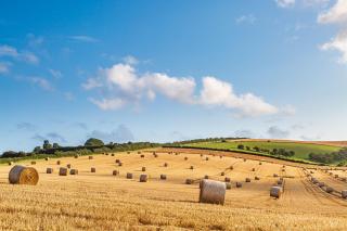 As the heat intensifies and expands this week, no sign of rain for large parts of the UK