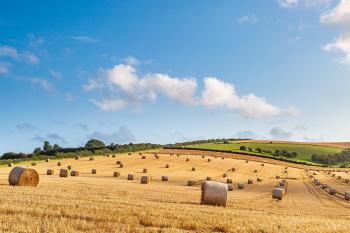 National Drought Group meets as Heatwave 5 looms and dry spell intensifies