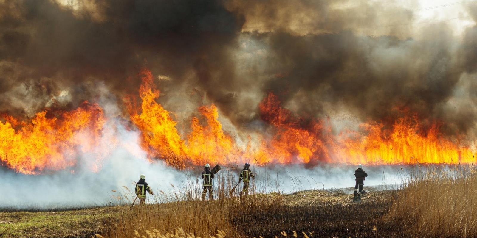 Recent dry weather encouraging wildfires, is there any rain on the way?