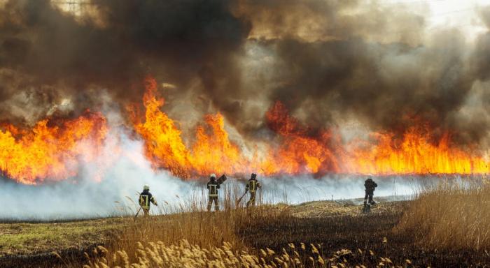 From Heatwaves to Wildfires: A look at the UK's August weather patterns