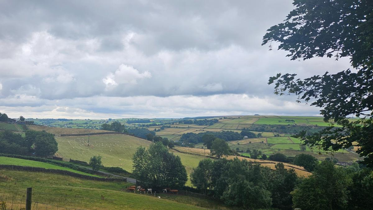 A blustery Thursday gives way to sunshine on Friday