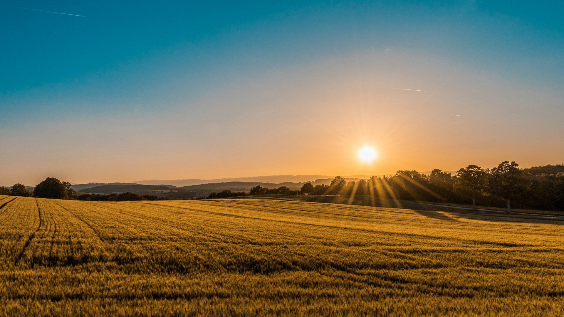 Britain's new climate reality clashes with enduring 1976 June record