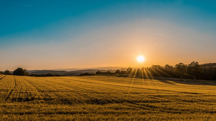 Britain's new climate reality clashes with enduring 1976 June record