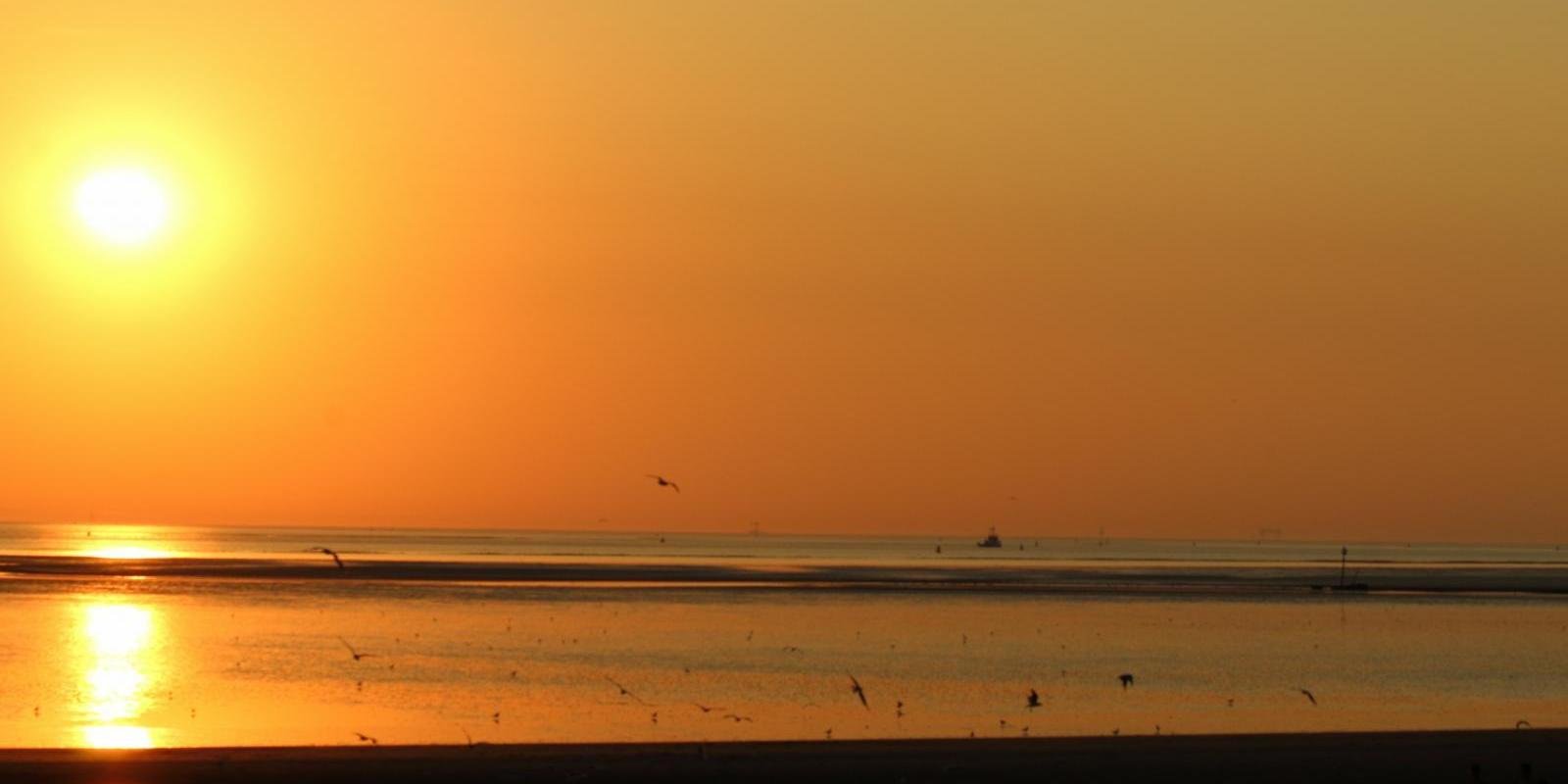 Heatwave to ease early next week, but heat may return in the south later 