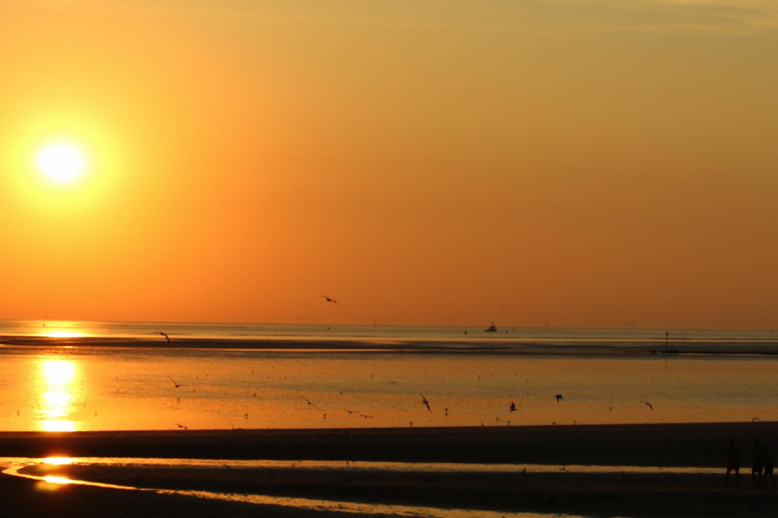 Sunniest spring for Scotland and Northern Ireland as marine heatwave continues