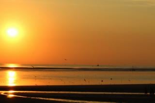 Sunniest spring for Scotland and Northern Ireland as marine heatwave continues