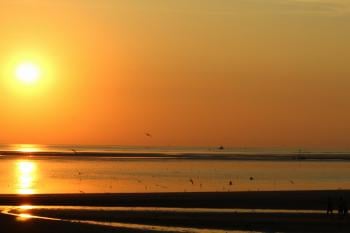 Sunniest spring for Scotland and Northern Ireland as marine heatwave continues