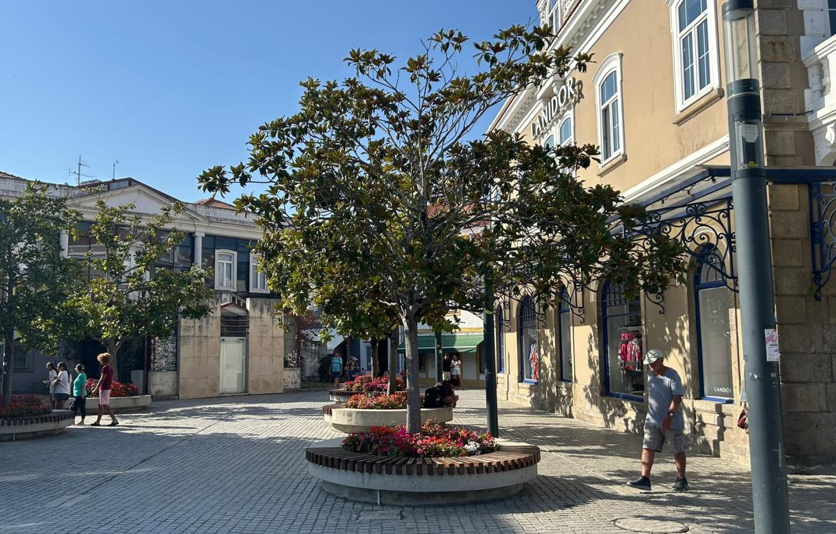 Portugal sees hottest and driest summer on record in SW European heatwaves