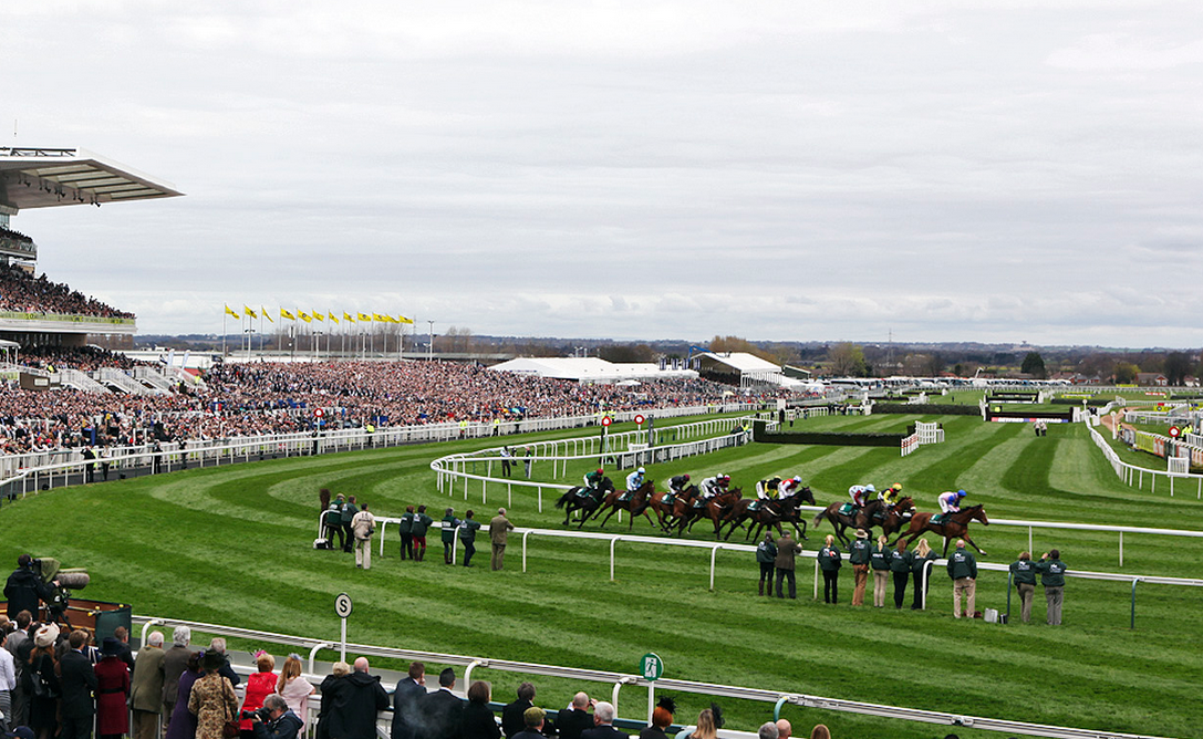 Grand National brings Many Clouds to Aintree 