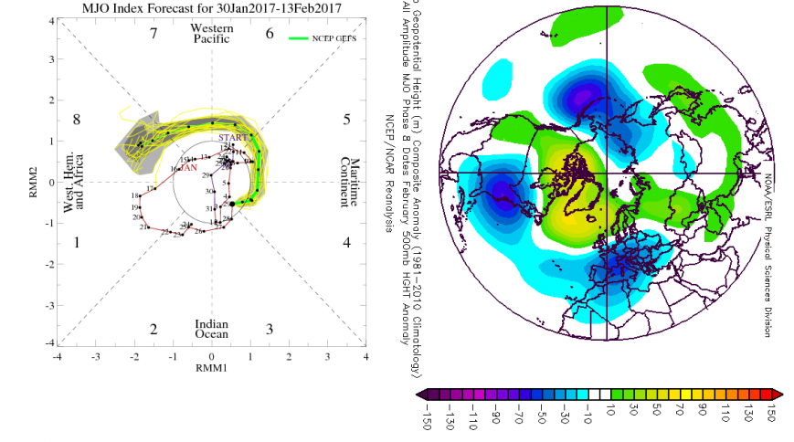 MJO