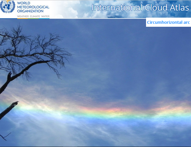 Rainbow Clouds - Pileus and Iridescence