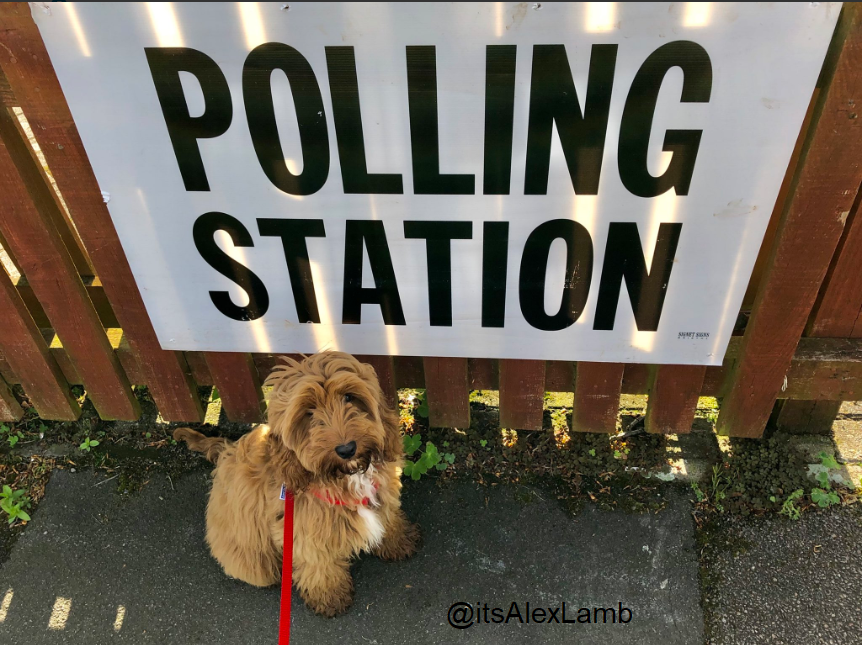 #DogsatPollingStations Voting weather Local Council elections