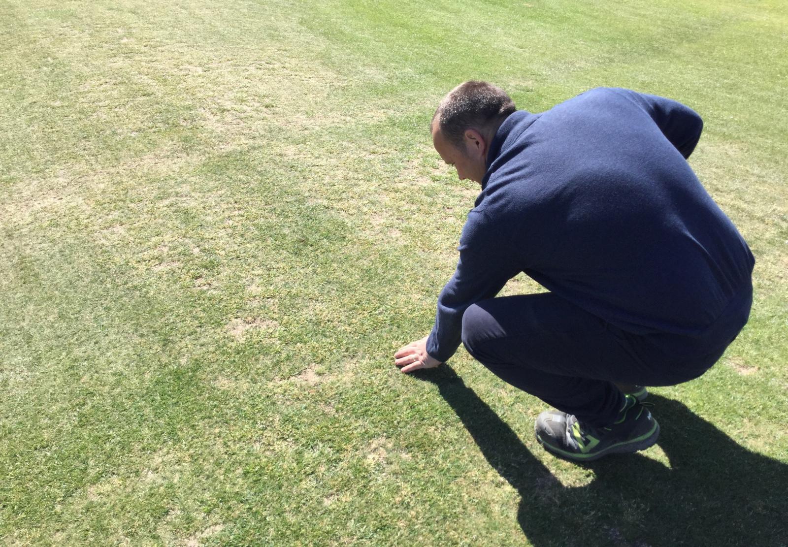Course manager Dunbar inspecting the turf