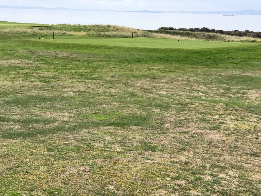 Gullane golf course showing signs of wear after the Open