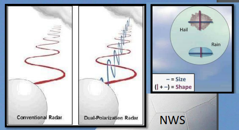 Dual polarisation shape 