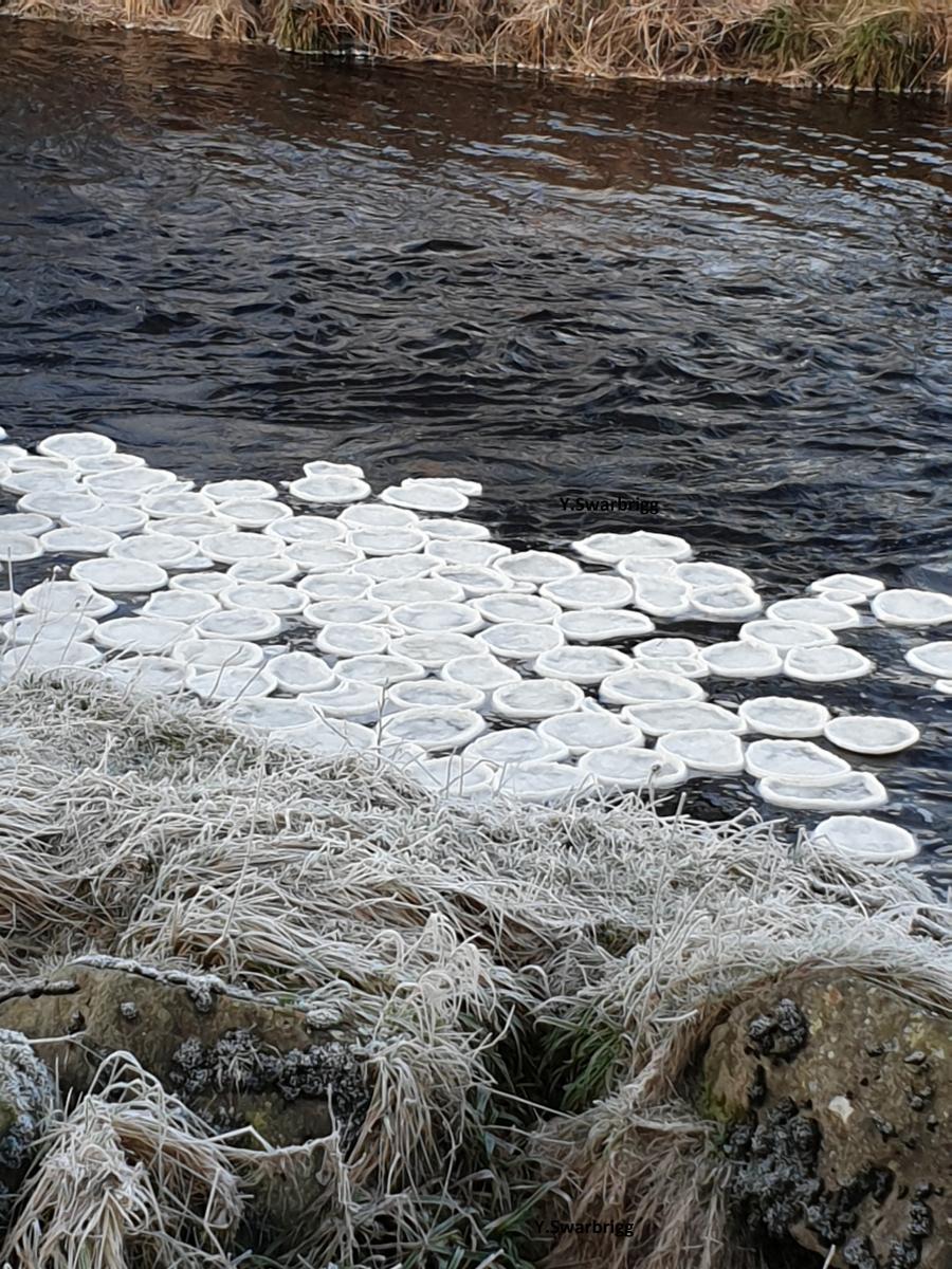 Ice pancakes Scotland River Deveron Huntly