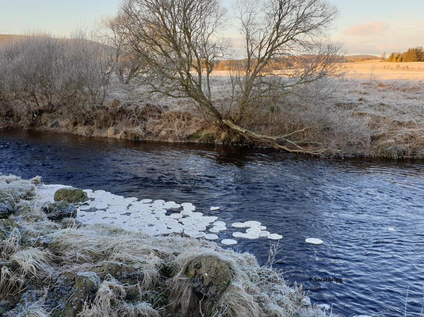 Ice pancakes  Pancake Ice UK Scotland