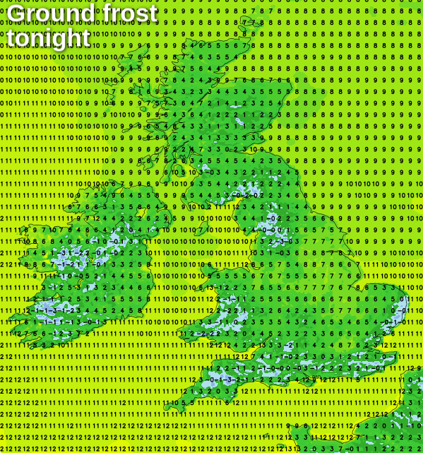 Risk of ground frost again tonight