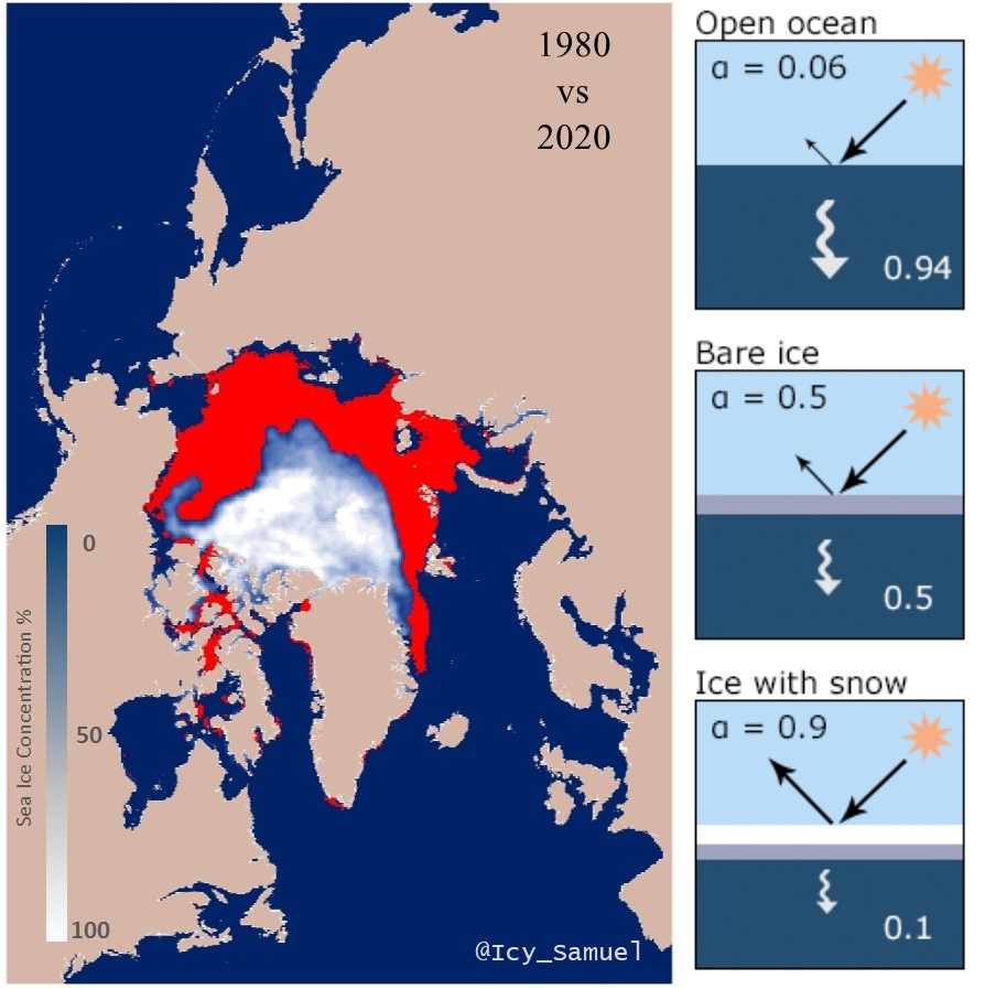 The difference in minimum sea ice extent between 1980 and 2020