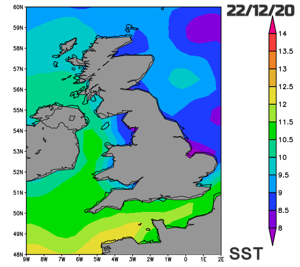 Sea surface temperature UK