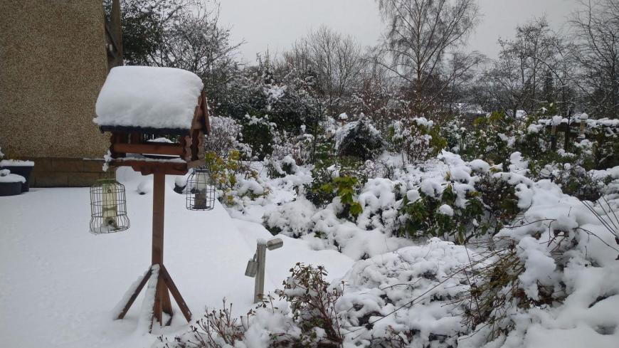 squirrel proof bird feeders in snow